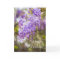 Wisteria Floral Purple Happy Birthday 
