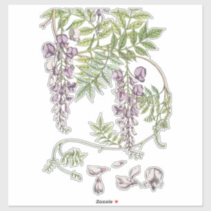 Wisteria Florals Crafting and Decoupage