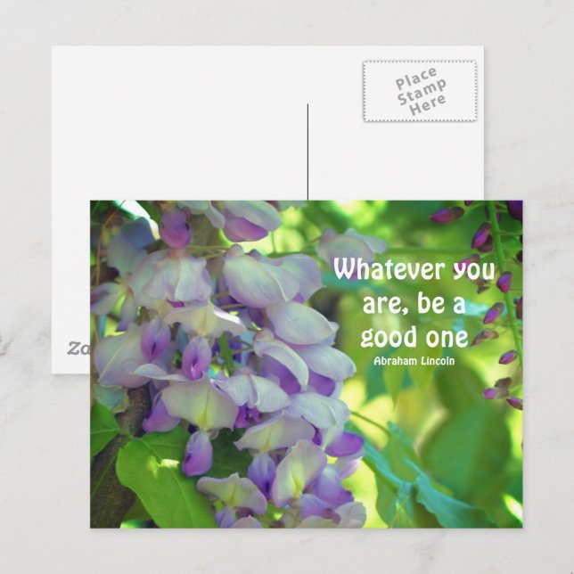 Wisteria Flower Attitude Quote  Postcard (Front/Back)