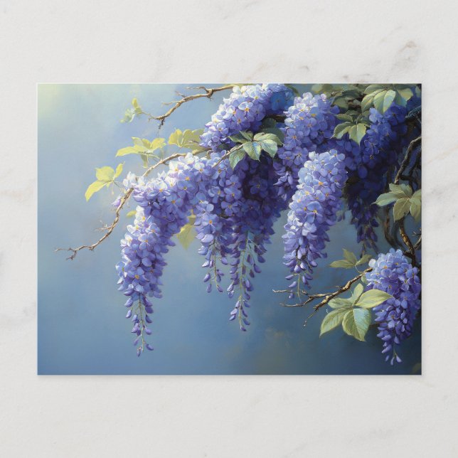 Wisteria Flowers Over a Soft Blue Background Postcard (Front)