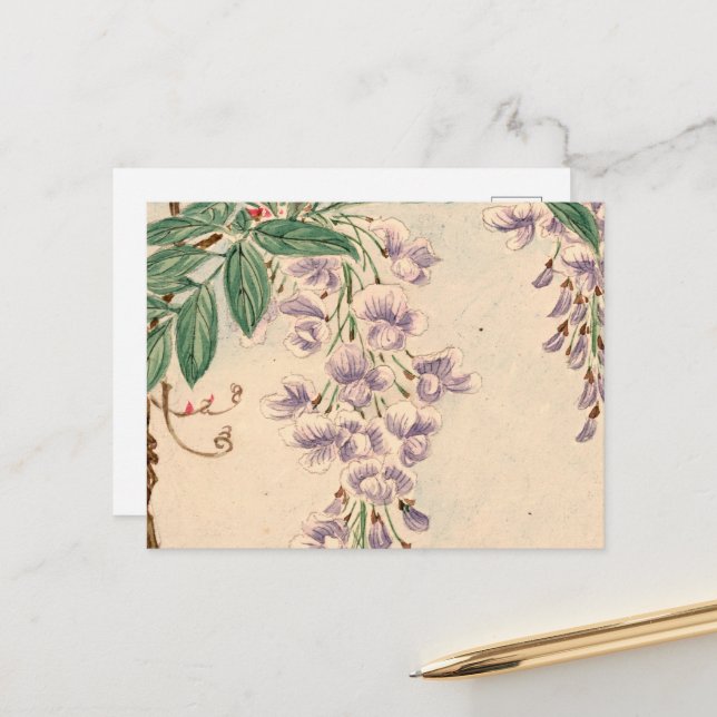 Wisteria Flowers, Purple Flowers, Floral Pattern Postcard (Front/Back In Situ)