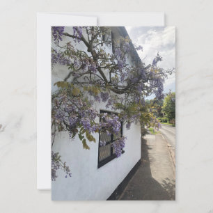 Wisteria growing against a white-walled cottage holiday card