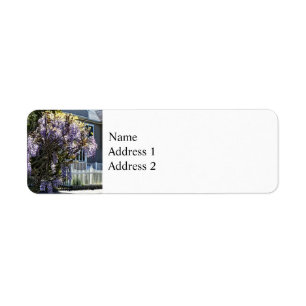 Wisteria in Bloom