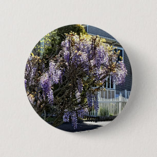 Wisteria in Bloom 6 Cm Round Badge