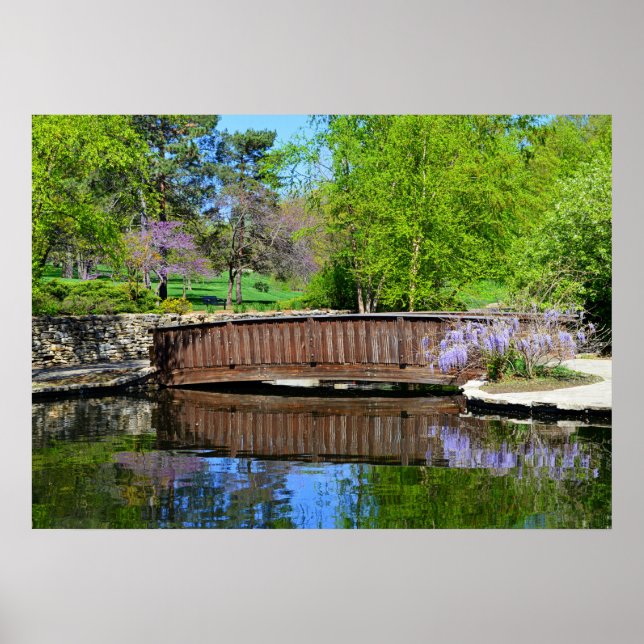 Wisteria In Bloom At Loose Park Bridge Poster (Front)