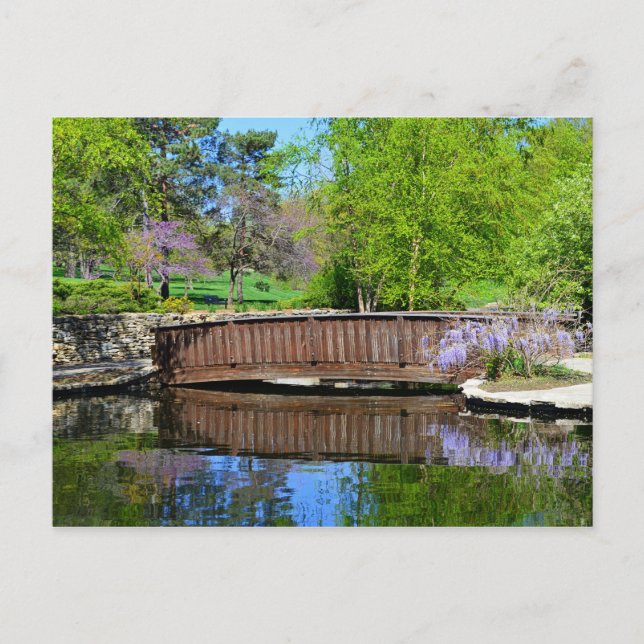 Wisteria in Bloom at Loose Park in Kansas City Postcard (Front)