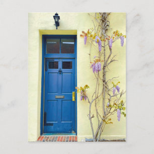 Wisteria in Bloom New York Postcard