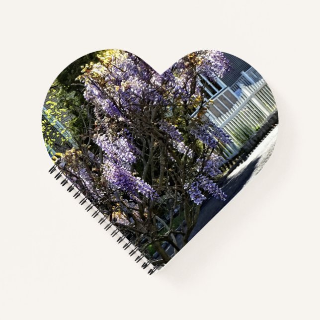 Wisteria in Bloom Notebook (Front)