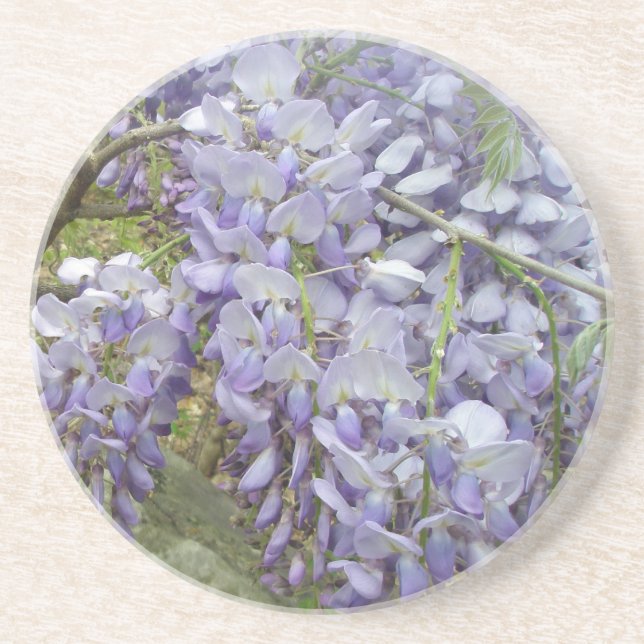 Wisteria in the Woods Coaster (Front)