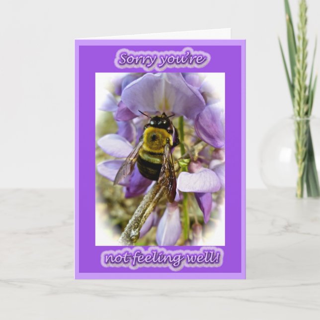 Wisteria & Male Carpenter Bee Get Well Card (Front)