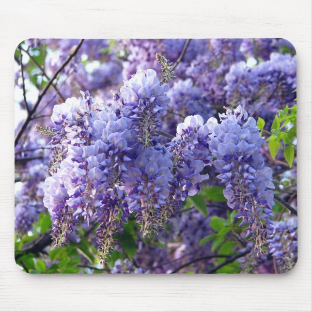 Wisteria Mosepad Mouse Mat (Front)