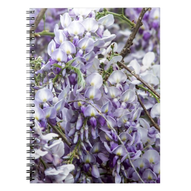 Wisteria Notebook (Front)