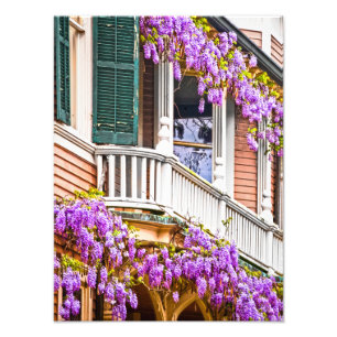 Wisteria on a Vintage Southern Home in Savannah Photo Print