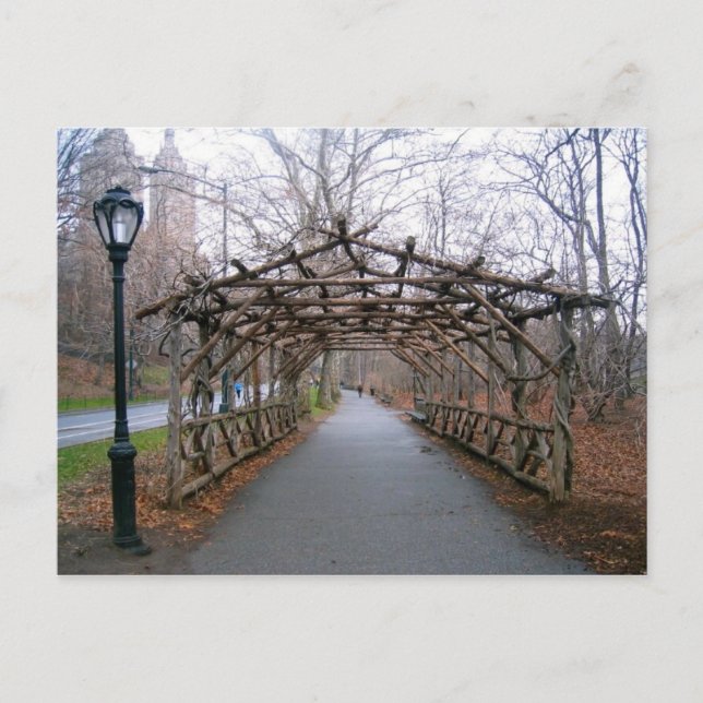 Wisteria Pergola New York City Central Park NYC Postcard (Front)