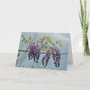 Wisteria photo greeting card