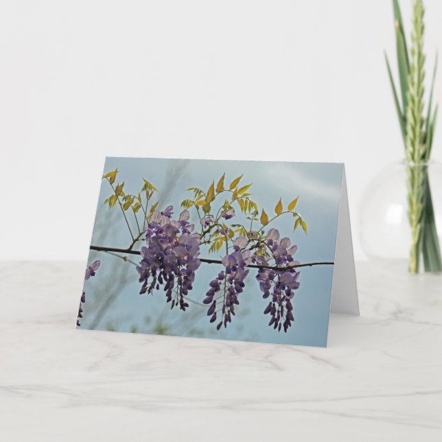 Wisteria photo greeting card (Front)