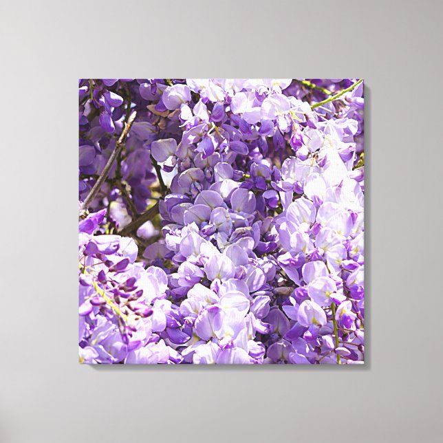 Wisteria Purple Floral Blossom Tree Violet Canvas Print (Front)