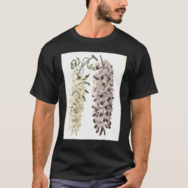 Wisteria Sinensis Botanical Isolated On White T-Shirt (Front)