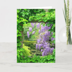 WISTERIA THROUGH IVY COVERED OPEN WINDOW" CARD