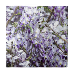 Wisteria Tile