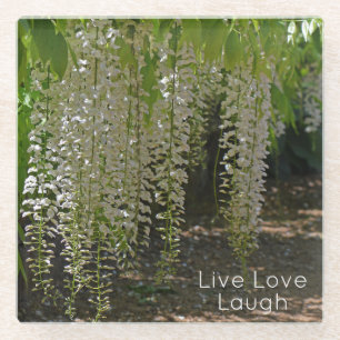 Wisteria White Garden Flowers Live Love Laugh Glass Coaster