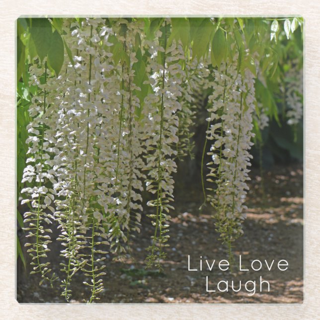 Wisteria White Garden Flowers Live Love Laugh Glass Coaster (Front)