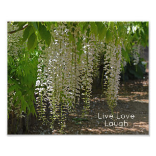 Wisteria White Garden Flowers Live Love Laugh Photo Print