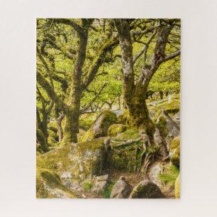 Wistman's Wood Dartmoor Devon England UK Jigsaw Puzzle