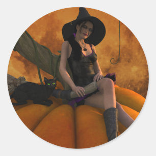Witch and Cat on Giant Pumpkin  Classic Round Sticker