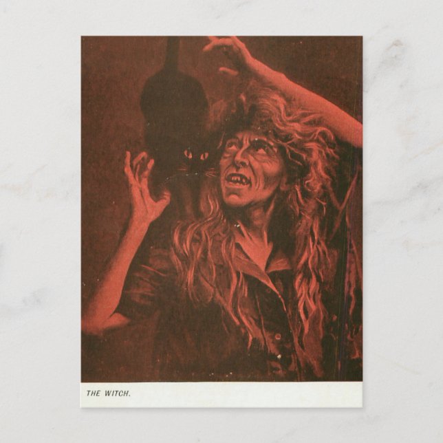 Witch and Her Cat Postcard (Front)