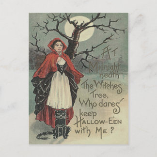 Witch Black Cat Full Moon Postcard