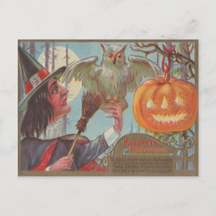 Witch Broom Jack O Lantern Owl Moon Postcard