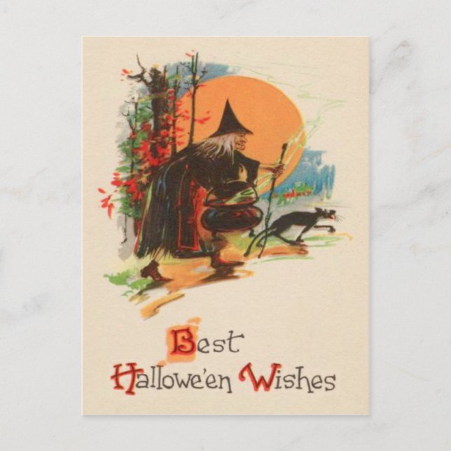 Witch Cauldron Black Cat Full Moon Postcard (Front)