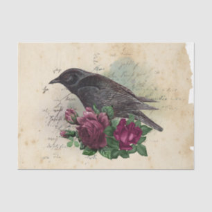 Witch Ephemera  Design Series #10 Tissue Paper