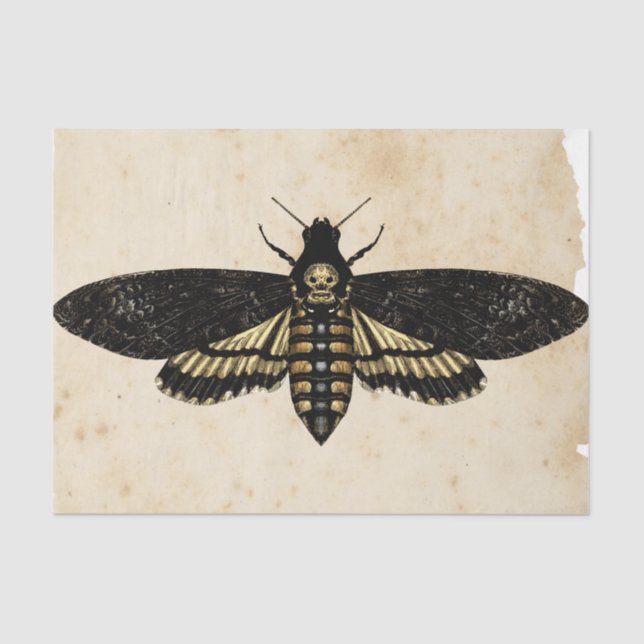 Witch Ephemera  Design Series #8 Tissue Paper (Front)