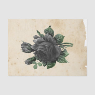 Witch Ephemera Design Series #9 Tissue Paper