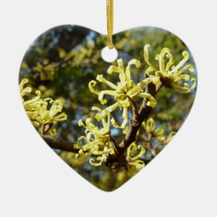 Witch Hazel Flowers Ceramic Tree Decoration