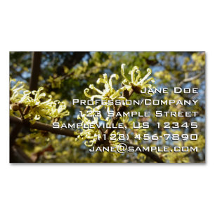 Witch Hazel Flowers Magnetic Business Card