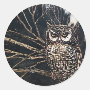 Witch in Owl Form Classic Round Sticker