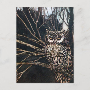 Witch in Owl Form Postcard