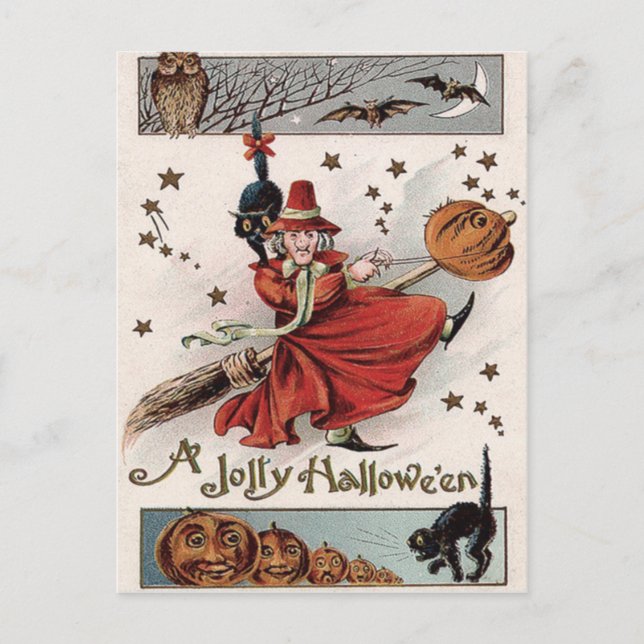 Witch Jack O Lantern Black Cat Bat Owl Postcard (Front)