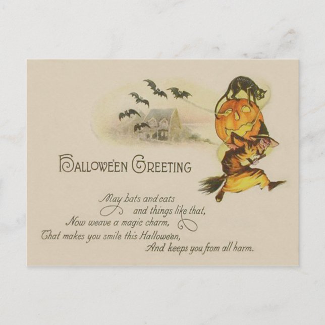 Witch Jack O' Lantern Black Cat Bat Postcard (Front)