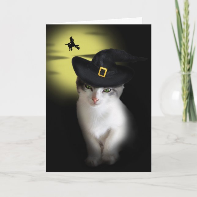 Witch Kitten Greeting Card (Front)