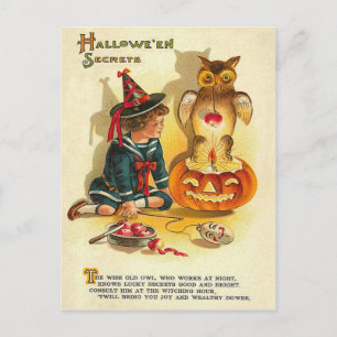 Witch Owl Jack O Lantern Pumpkin Postcard