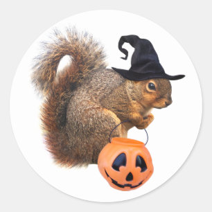 Witch Squirrel Trick-or-Treat Sticker