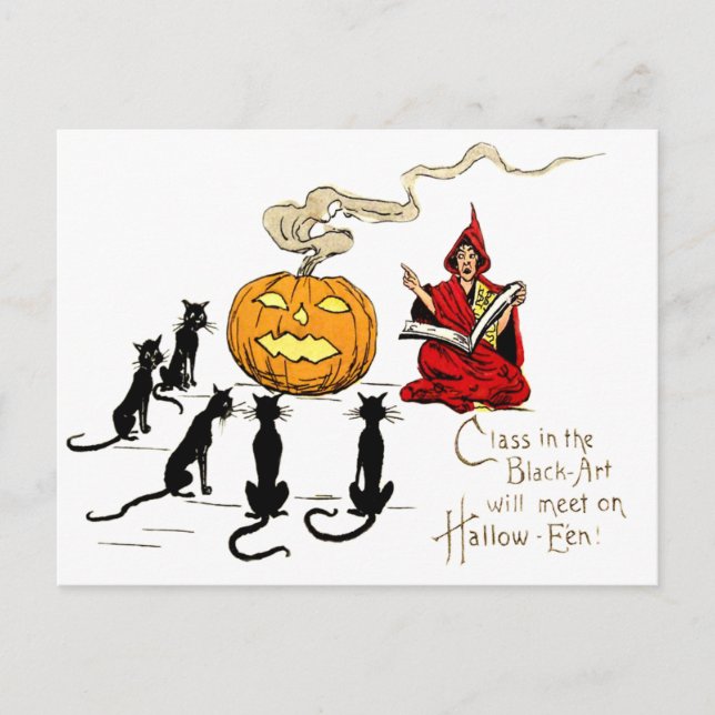 Witch Teaching Black Cat Jack O' Lantern Postcard (Front)