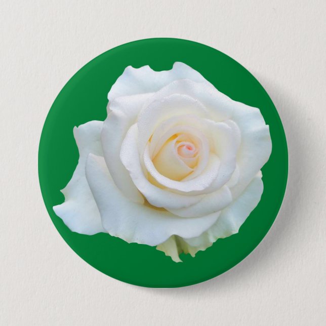 Witch Trial Memorial Button (Front)