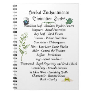 Witchcraft Book Of Shadows Journal