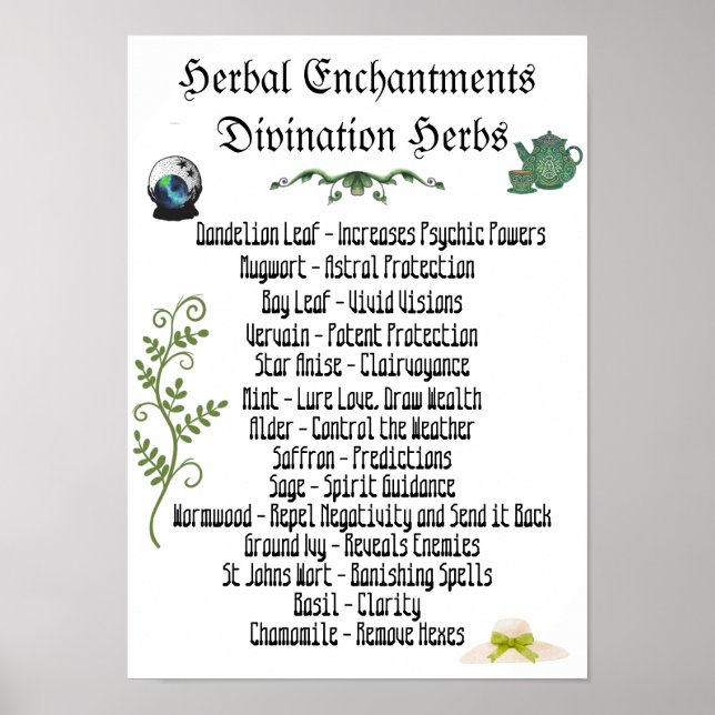 Witchcraft Herbs Psychic Development Spells Poster (Front)