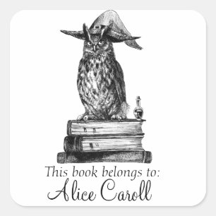 Witchcraft library owl square sticker